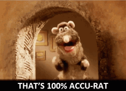 Rattus That's 100 Percent Accu-Rat GIF