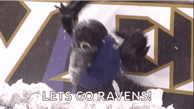 Raven In Snow Saying Let's Go Ravens GIF