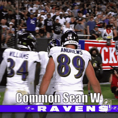 Ravens Football Player Number 89 GIF