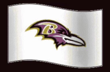 Ravens GIF