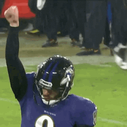 Ravens Tucker Being Cheerful GIF