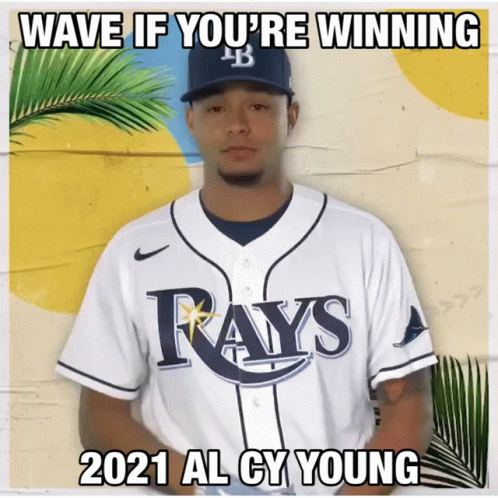 Rays Baseball Player With Palm Trees GIF