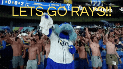 Rays Mascot Standing In Front Of Crowd GIF
