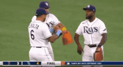 Rays Player Number 6 Talking To Another Player GIF