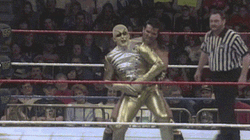 Razor Ramon Wrestle Against Goldust GIF