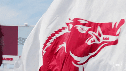 Razorbacks Flag Waving GIF