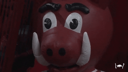 Razorbacks Mascot Clay Version GIF