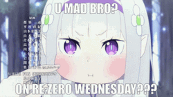 Re Zero Wednesday Smil Elilia GIF