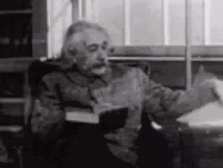 Reading Book Albert Einstein GIF
