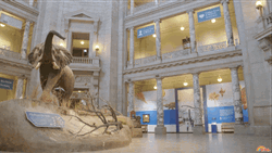 Reading Rainbow LeVar Burton At National Museum GIF