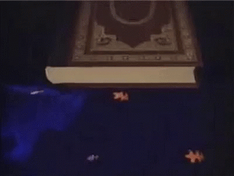 Reading Rainbow Take A Look It's In Book GIF