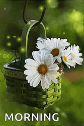 Real Floral Basket White Morning Sparkle GIF