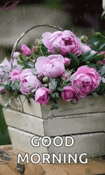 Real Floral Bouquet Basket Rain Morning GIF