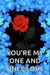Real Floral Love Confession Glitters GIF