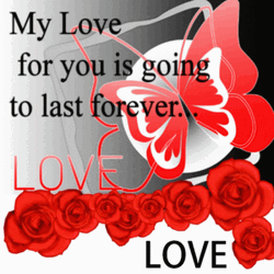 Real Floral Red Love Butterfly GIF
