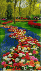 Real Floral Summer Garden Park  GIF