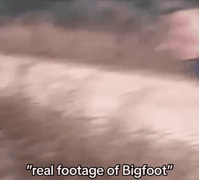 Real Footage Of Bigfoot GIF