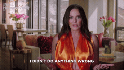 Real Housewives Housewives GIF