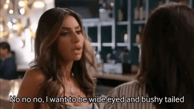 Real Housewives Of Rhode Island GIF