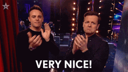 Real Nice Ant And Dec BGT GIF