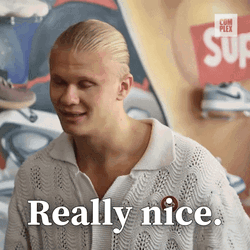 Real Nice Erling Haaland GIF