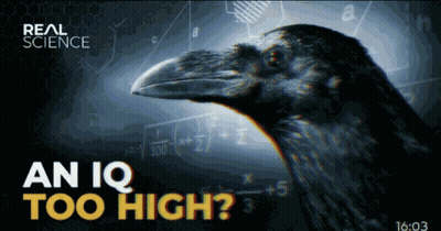 Real Science Ad Crow In Front Of Math Equations GIF
