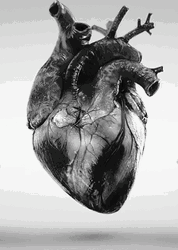 Realistic Black Heart Pumping GIF