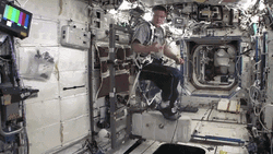 Realistic Space Station Astronaut
