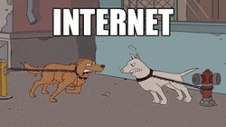 Reality Of Internet War GIF
