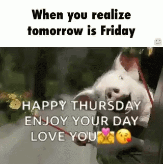 Realizing Tomorrow Is Friday GIF