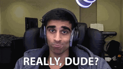 Really Dude GIF