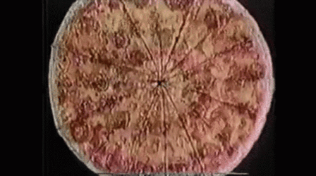 Really Fast Spinning Pizza GIF