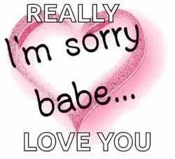 Really I Am Sorry Babe Love You  GIF