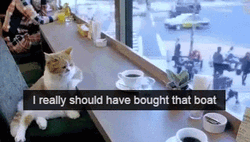Really Should Have Bought That Boat GIF