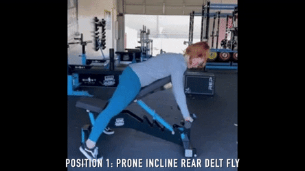 Rear Delt And Lateral Raises GIF