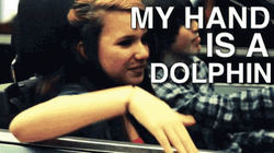 Rebecca Black Friday My Hand Is Dolphin Meme GIF