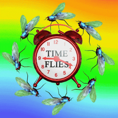 Red Alarm Clock Saying Time Flies GIF