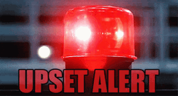 Red Alarm Light On Upset Alert GIF