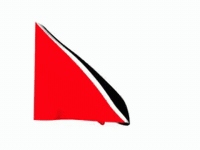 Red And Black Flag Waving In Wind GIF
