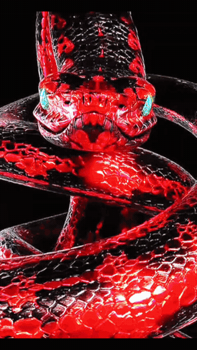 Red And Black Snake With Green Eyes GIF