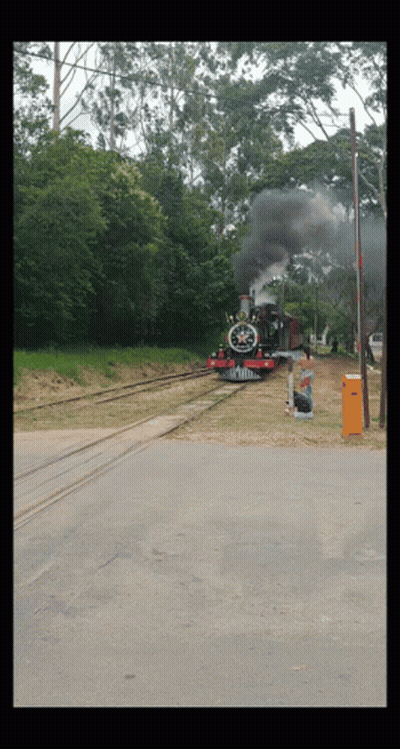 Red And Black Train Going Down Tracks With Smoke GIF