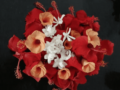 Red and Orange Flowers