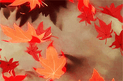 Red And Orange Leaves Floating In Air GIF
