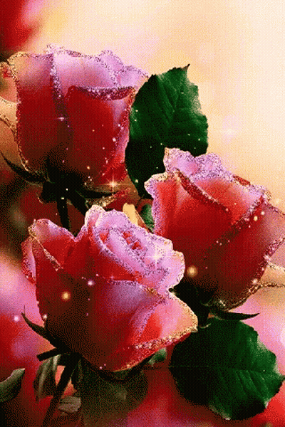 Red And Pink Roses With Green Leaves GIF