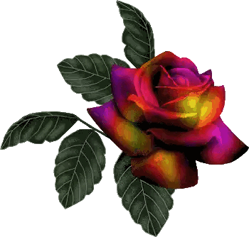 Red And Purple Rose With Green Leaves Sticker