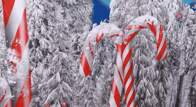 Red And White Candy Canes In The Snow In A Forest GIF