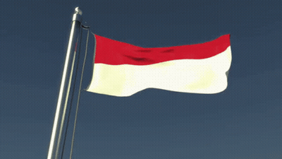 Red And White Flag Waving GIF