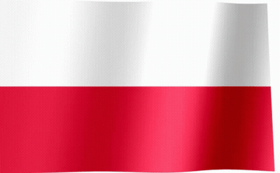 Red And White Flag Waving GIF