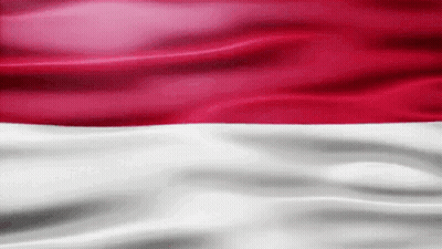 Red And White Flag Waving GIF