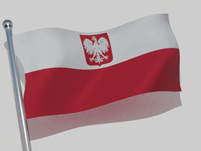 Red And White Flag Waving On Pole GIF